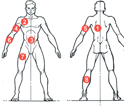 Determination of the amount of subcutaneous fat